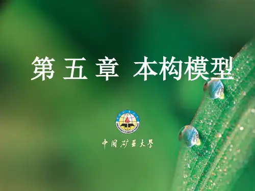 FLAC3D岩土软件-本构模型ppt课件