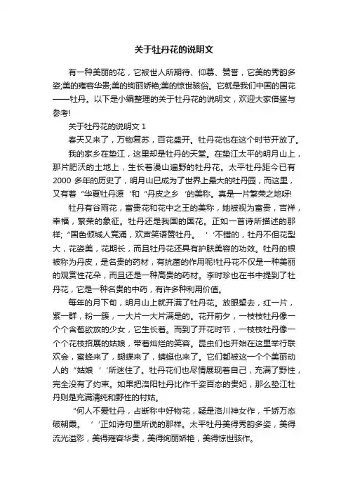 关于牡丹花的说明文