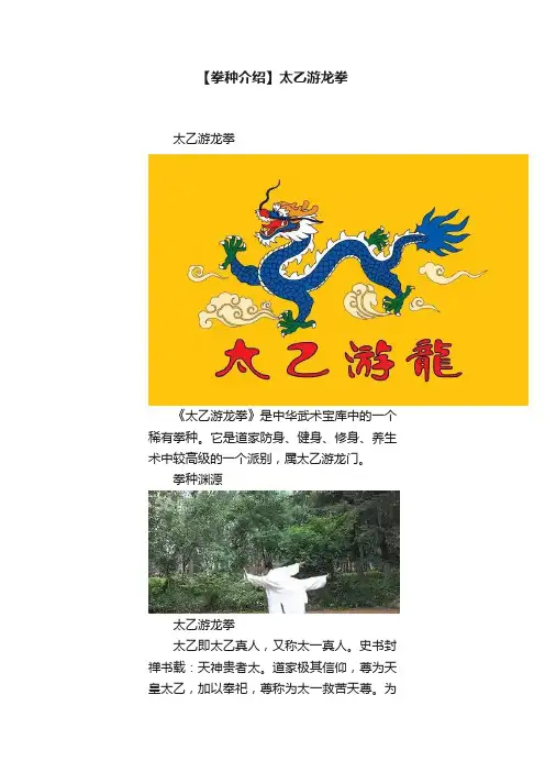 【拳种介绍】太乙游龙拳
