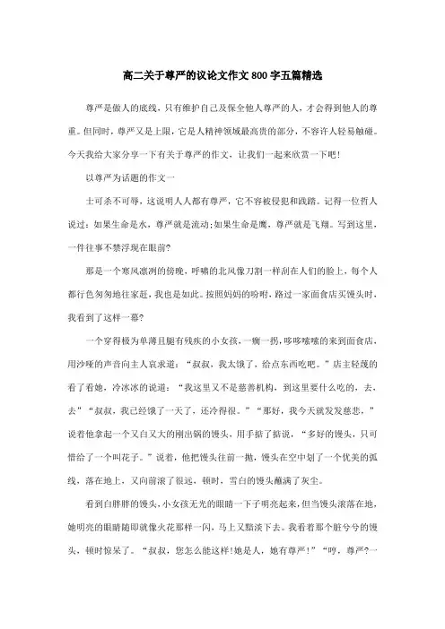 高二关于尊严的议论文作文800字五篇精选