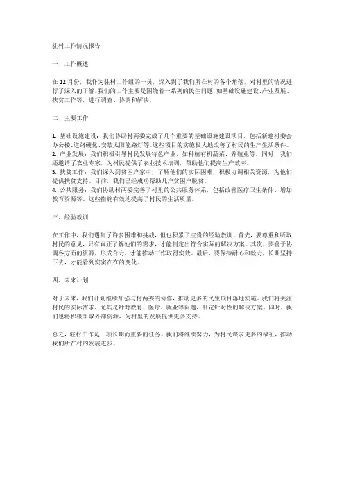 12月份驻村工作情况报告