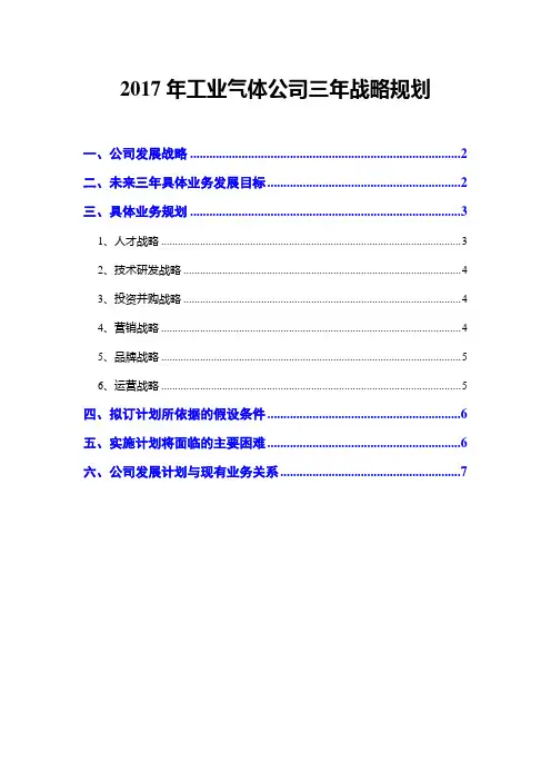 2017年工业气体公司三年战略规划
