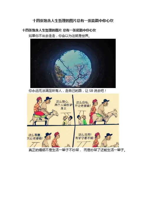 十四张饱含人生哲理的图片总有一张能戳中你心坎