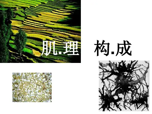 肌理构成专题知识