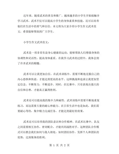 小学生作文武术范文