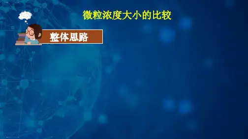 人教版化学《盐类的水解》ppt1
