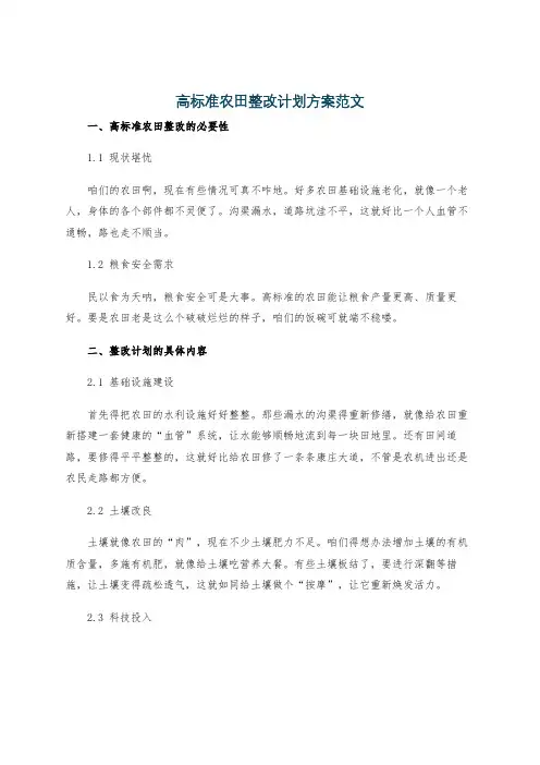 高标准农田整改计划方案范文