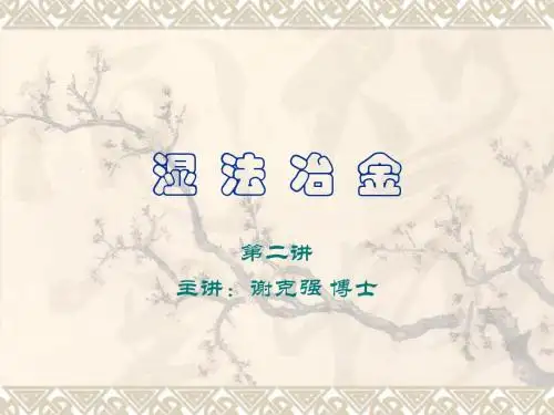 2. 湿法冶金流程及水溶液热力学、活度系数