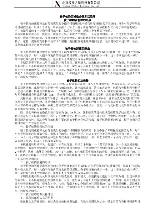 被子植物的减数分裂和双受精