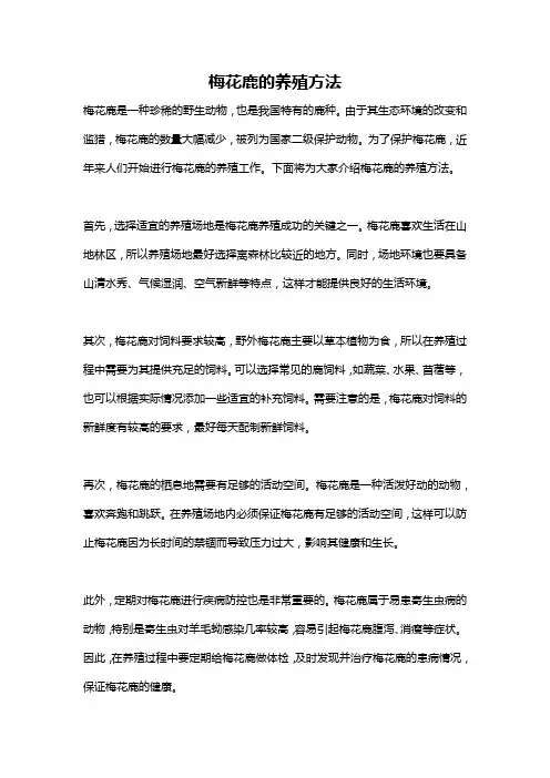 梅花鹿的养殖方法