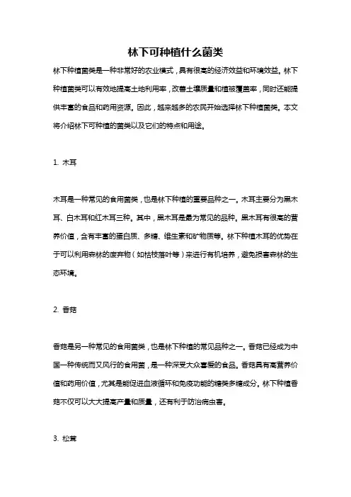 林下可种植什么菌类