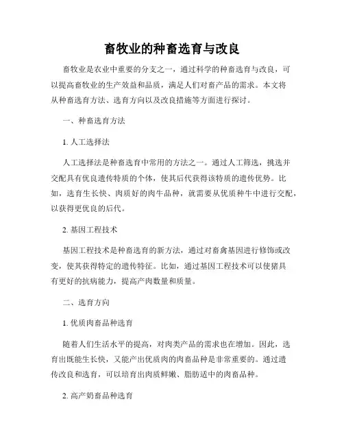 畜牧业的种畜选育与改良