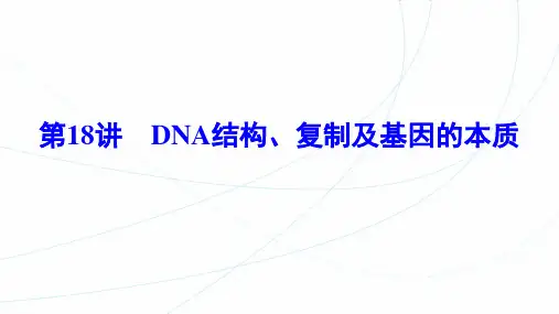 【高三生物一轮复习】DNA结构、复制及基因的本质