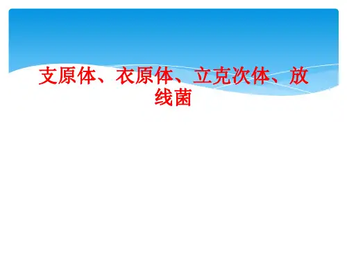 支原体、衣原体、立克次体、放线菌