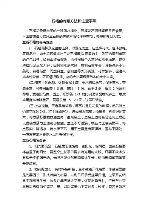 石榴的养殖方法和注意事项