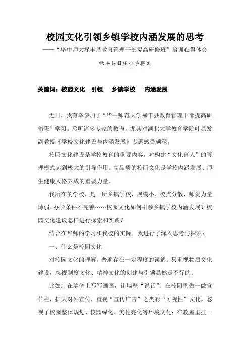 校园文化引领乡镇学校内涵发展的思考
