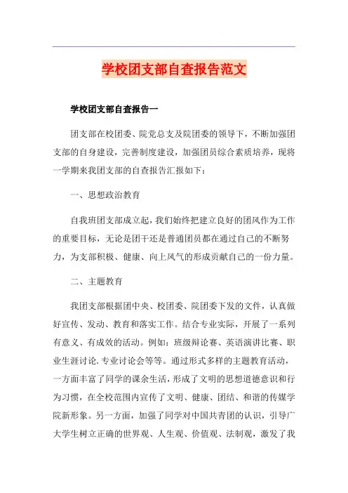 学校团支部自查报告范文