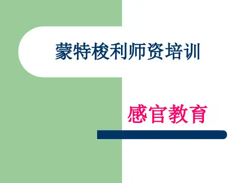 蒙特梭利师资培训.感官ppt