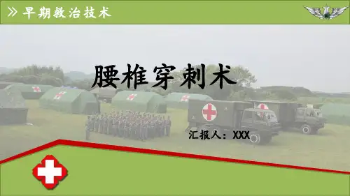 腰椎穿刺术ppt