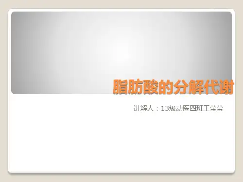 脂肪酸的分解代谢