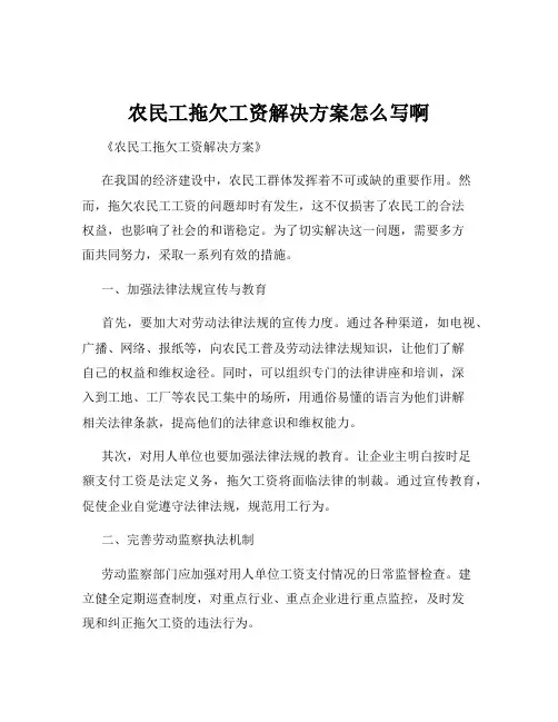 农民工拖欠工资解决方案怎么写啊