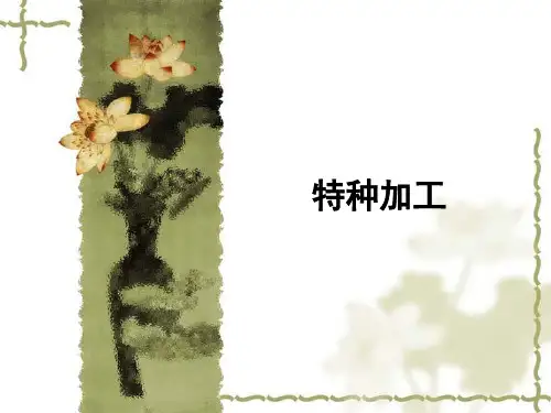 特种加工教案