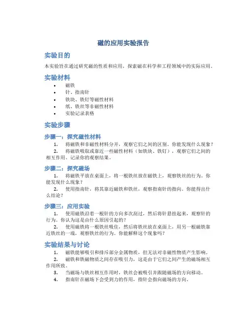磁的应用实验报告