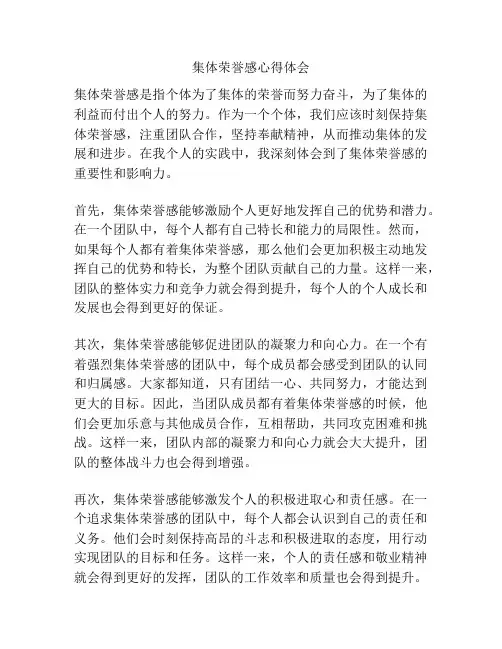 集体荣誉感心得体会