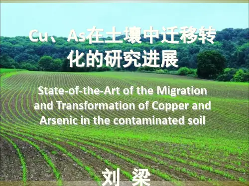 铜、砷在土壤中的迁移转化ppt课件