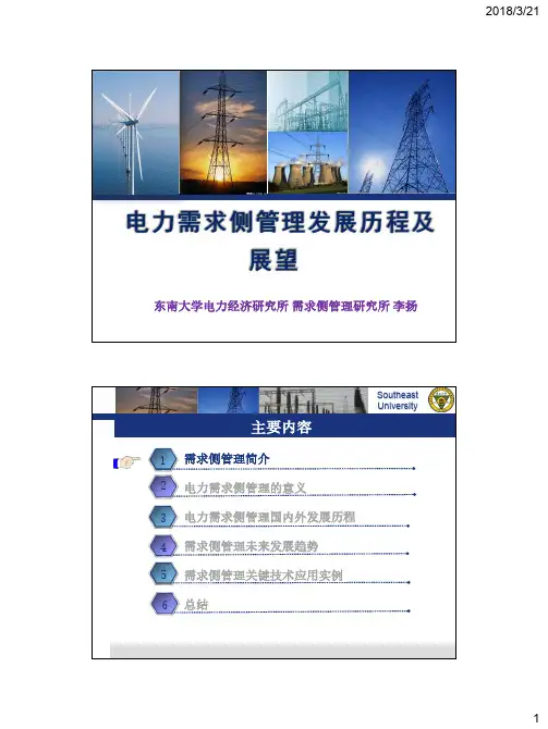 1.李扬老师-电力需求侧管理发展历程及展望