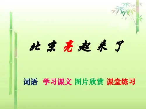 《北京亮起来了》1精品PPT课件