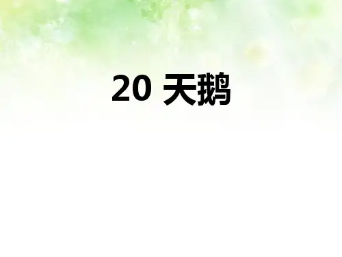《天鹅》 ppt课件上课用