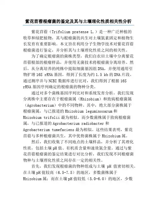 紫花苜蓿根瘤菌的鉴定及其与土壤理化性质相关性分析