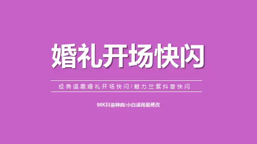 新版魅力兰紫婚礼开场抖音快闪ppt