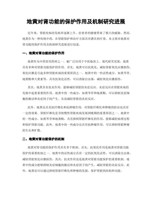 地黄对肾功能的保护作用及机制研究进展
