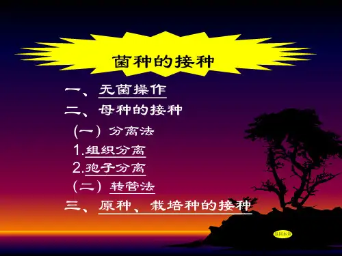 食用菌课件——菌种的接种