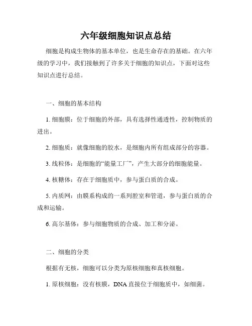 六年级细胞知识点总结
