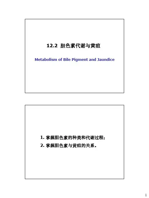 12.2 胆色素代谢和黄疸