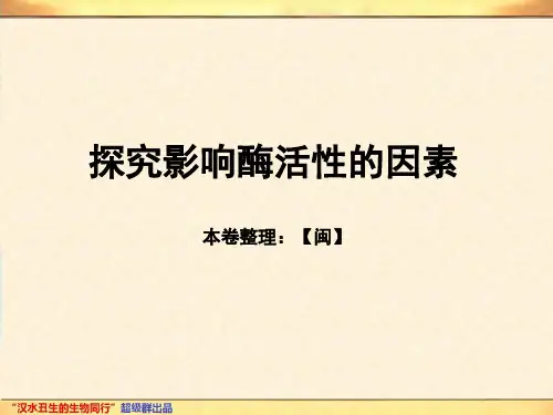 探究影响酶活性的因素终稿精品PPT课件