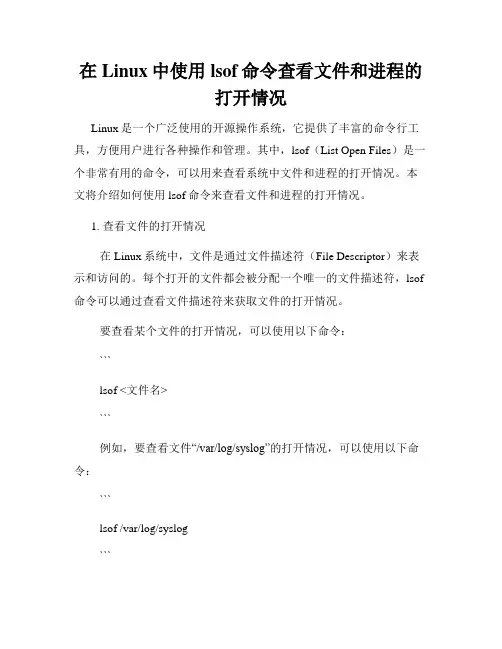 在Linux中使用lsof命令查看文件和进程的打开情况