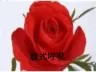 专注力训练课件