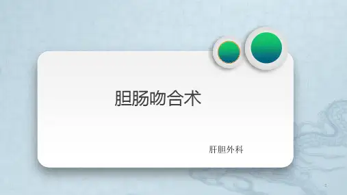 胆肠吻合术讲课ppt课件