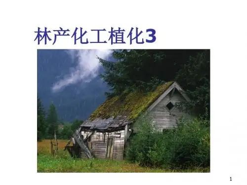 纤维素和半纤维素PPT幻灯片课件