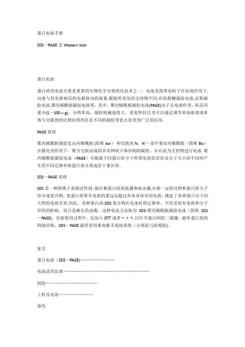 SDS-PAGE蛋白电泳手册