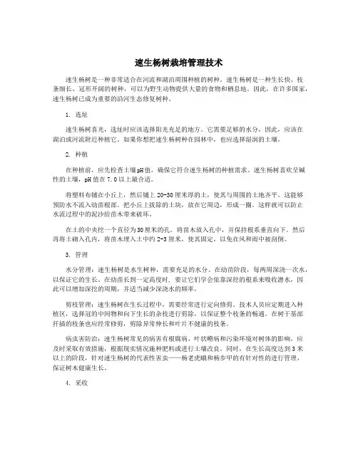 速生杨树栽培管理技术