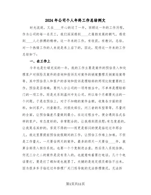 2024年公司个人年终工作总结例文(5篇)