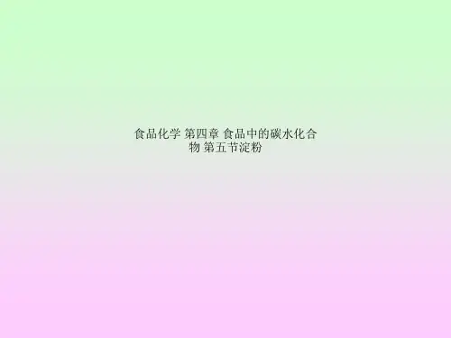 食品化学 第四章 食品中的碳水化合物 第五节淀粉