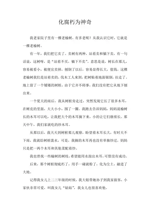 化腐朽为神奇