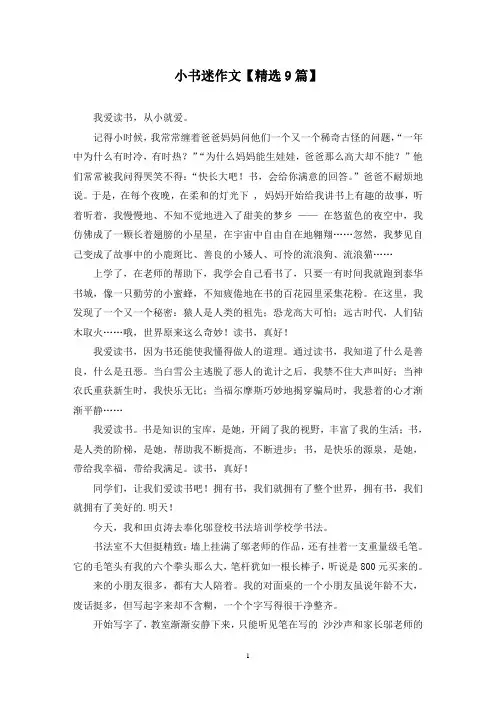 精选小书迷作文【9篇】
