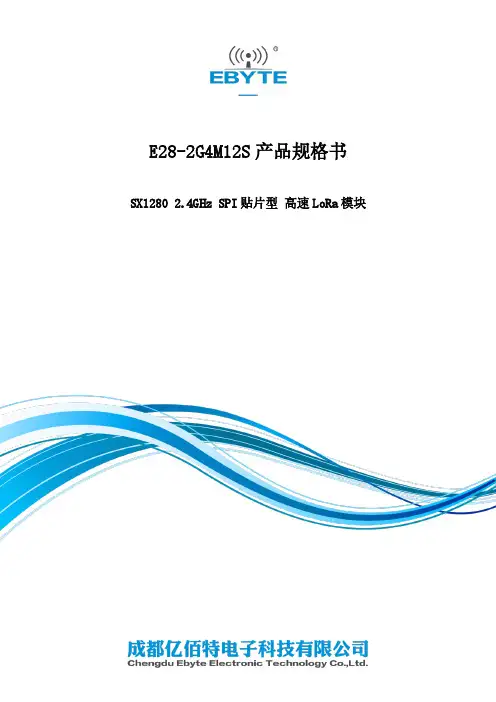 E28-2G4M12S 产品规格书说明书